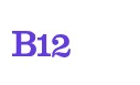 B12 logo